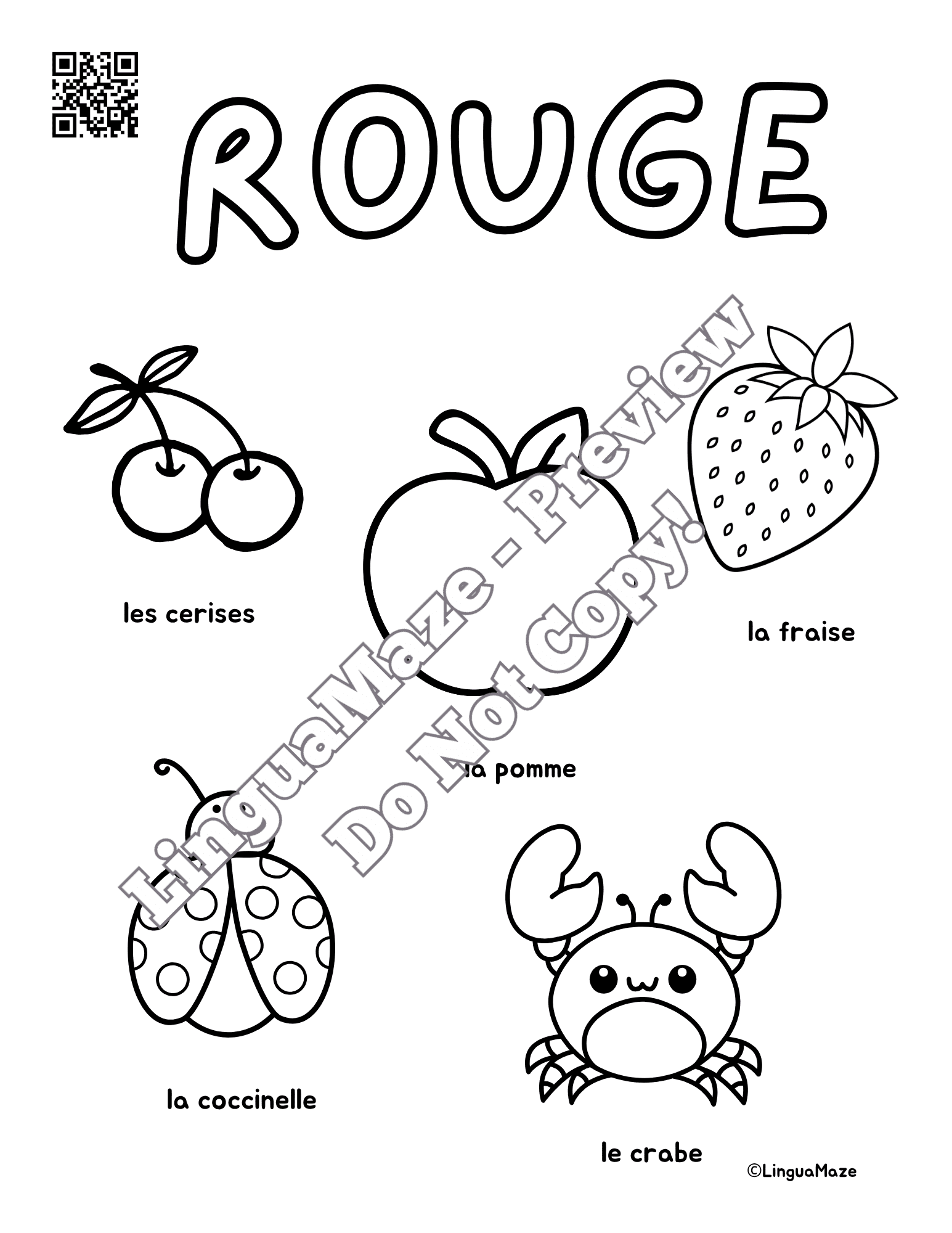 Sample preview page from French Nouns & Colors - LinguaMaze worksheet