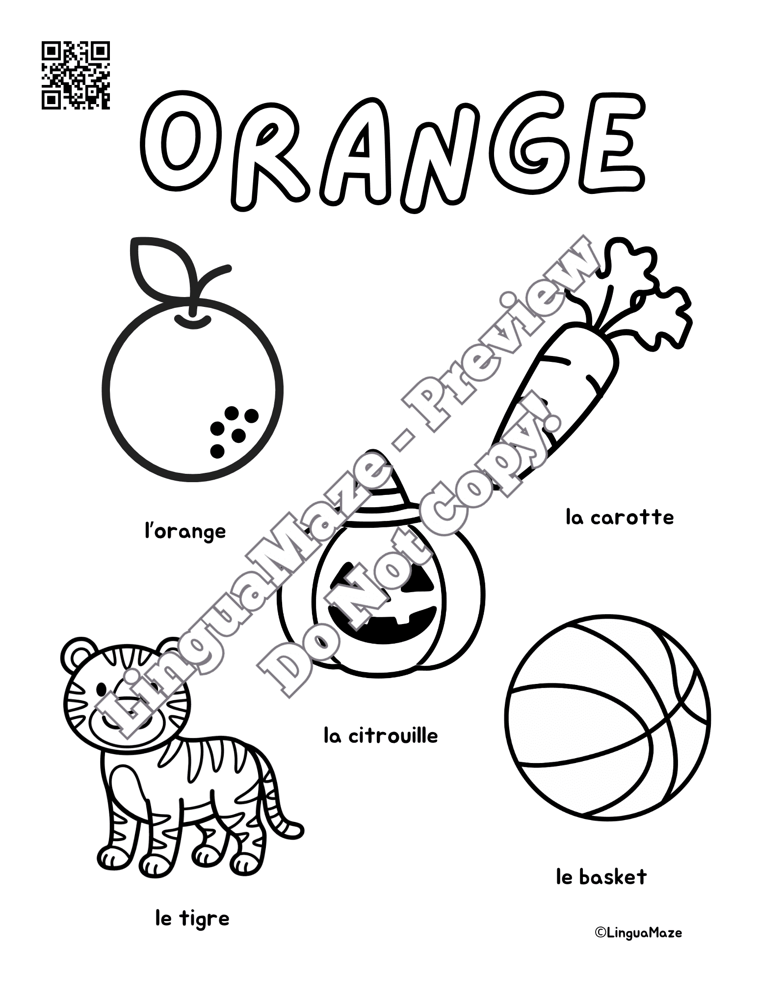 Sample preview page from French Nouns & Colors - LinguaMaze worksheet
